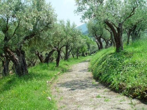 Hotel Villa Vecchia 蒙特-坡佐-卡多 外观 照片