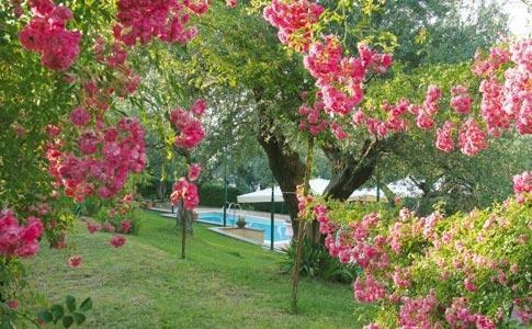 Hotel Villa Vecchia 蒙特-坡佐-卡多 外观 照片